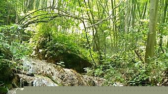 重渡溝景區精品一日游路線推薦（重渡溝風景區一日游玩攻略）