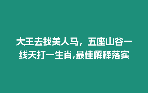 大王去找美人馬，五座山谷一線天打一生肖,最佳解釋落實