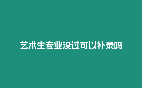 藝術(shù)生專業(yè)沒過可以補錄嗎