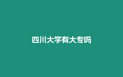 四川大學有大專嗎
