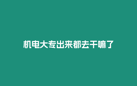 機(jī)電大專出來都去干嘛了