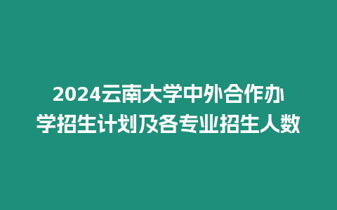2024云南大學中外合作辦學招生計劃及各專業招生人數