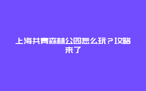 上海共青森林公園怎么玩？攻略來了