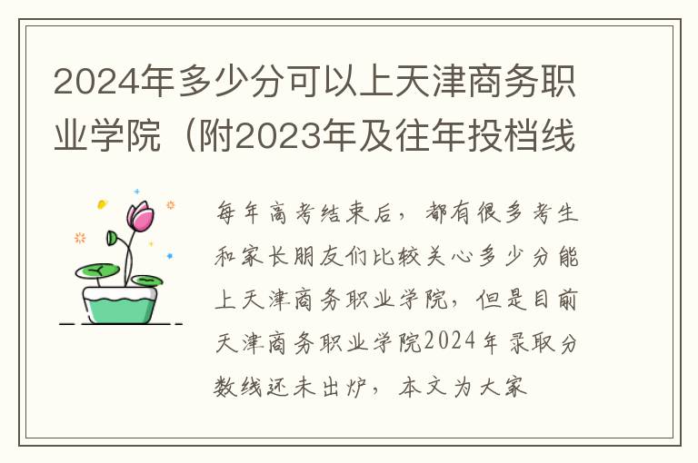 2025年多少分可以上天津商務(wù)職業(yè)學(xué)院（附2025年及往年投檔線參考）