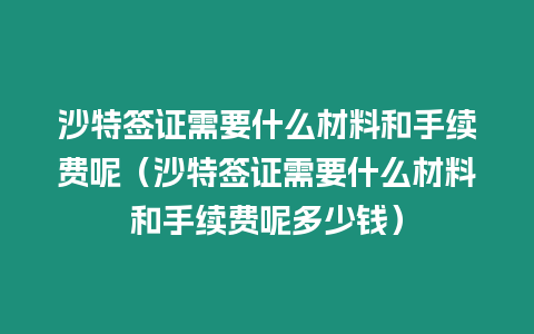 沙特簽證需要什么材料和手續費呢（沙特簽證需要什么材料和手續費呢多少錢）