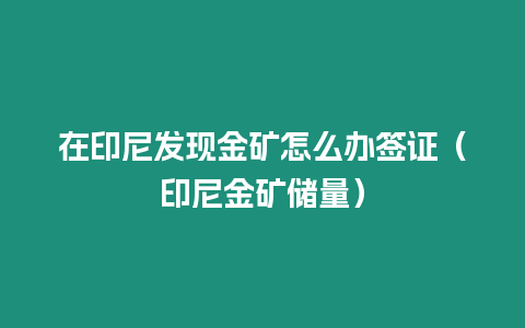 在印尼發(fā)現(xiàn)金礦怎么辦簽證（印尼金礦儲(chǔ)量）
