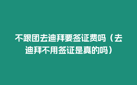 不跟團(tuán)去迪拜要簽證費(fèi)嗎（去迪拜不用簽證是真的嗎）