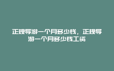 正規導游一個月多少錢，正規導游一個月多少錢工資