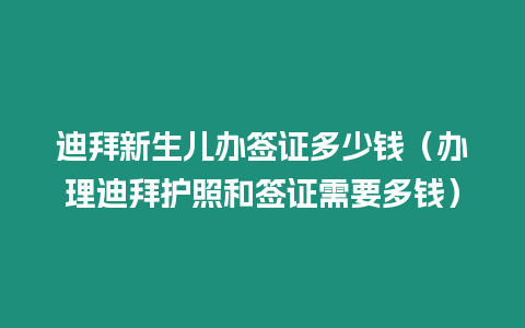 迪拜新生兒辦簽證多少錢（辦理迪拜護(hù)照和簽證需要多錢）