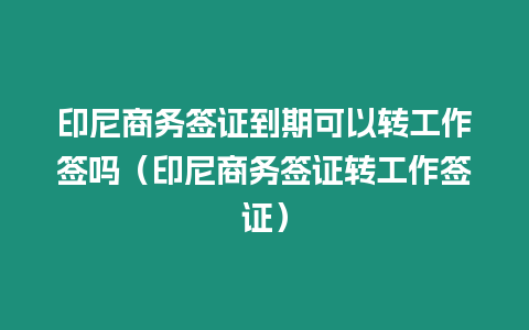 印尼商務簽證到期可以轉(zhuǎn)工作簽嗎（印尼商務簽證轉(zhuǎn)工作簽證）