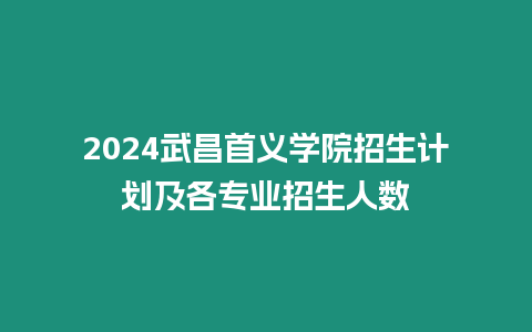 2024武昌首義學院招生計劃及各專業招生人數
