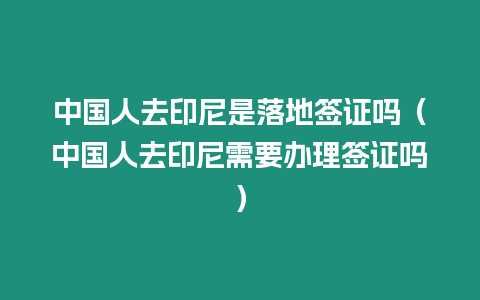中國人去印尼是落地簽證嗎（中國人去印尼需要辦理簽證嗎）