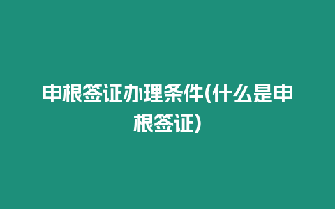 申根簽證辦理條件(什么是申根簽證)