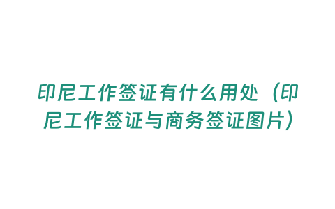 印尼工作簽證有什么用處（印尼工作簽證與商務(wù)簽證圖片）
