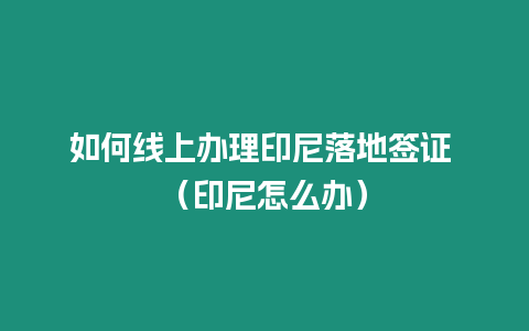 如何線上辦理印尼落地簽證 （印尼怎么辦）