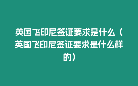 英國飛印尼簽證要求是什么（英國飛印尼簽證要求是什么樣的）