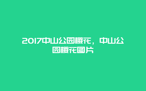 2017中山公園櫻花，中山公園櫻花圖片