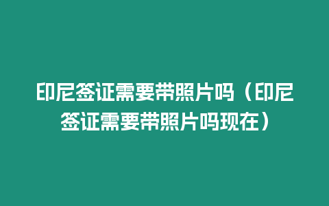 印尼簽證需要帶照片嗎（印尼簽證需要帶照片嗎現在）