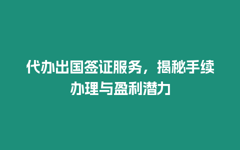 代辦出國簽證服務(wù)，揭秘手續(xù)辦理與盈利潛力