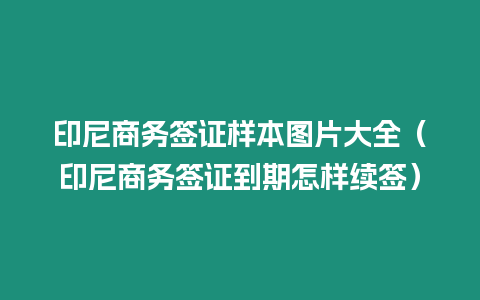 印尼商務簽證樣本圖片大全（印尼商務簽證到期怎樣續簽）