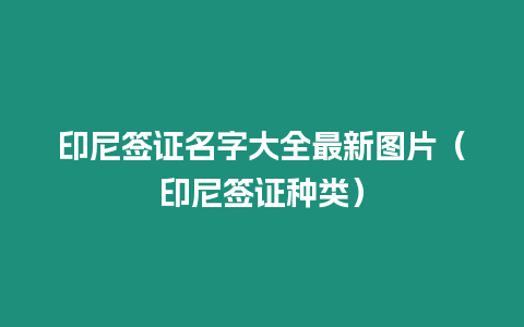 印尼簽證名字大全最新圖片（印尼簽證種類）
