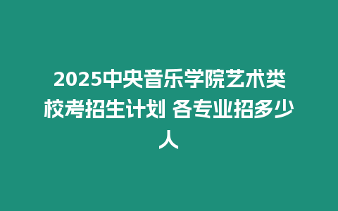 2025中央音樂學院藝術類校考招生計劃 各專業招多少人