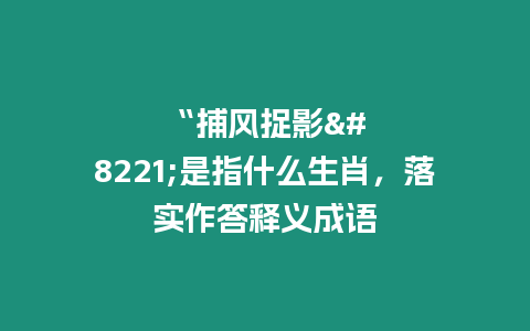 “捕風捉影”是指什么生肖，落實作答釋義成語