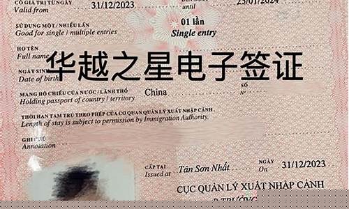 揭秘電子簽證護照，內容展示與隱私保護之謎