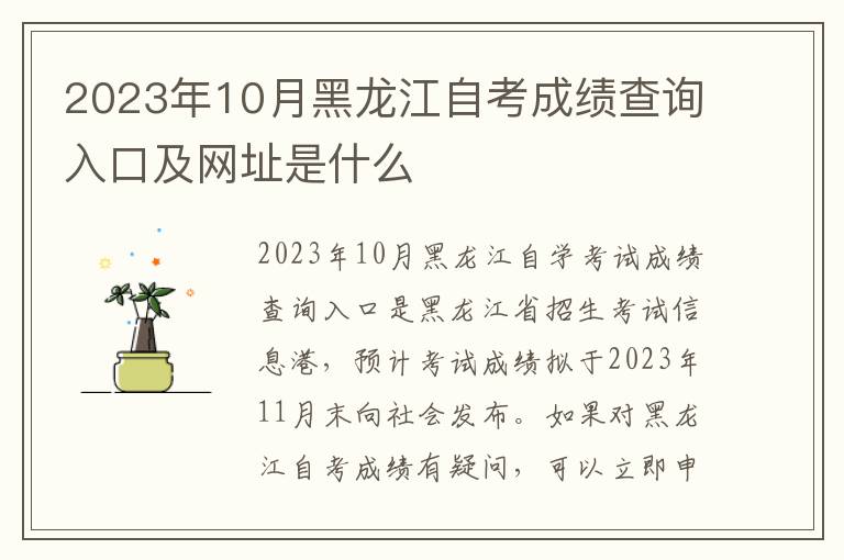 2025年10月黑龍江自考成績查詢?nèi)肟诩熬W(wǎng)址是什么