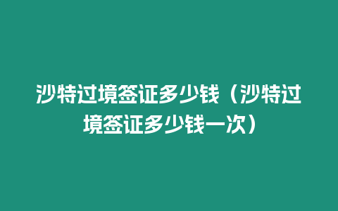 沙特過境簽證多少錢（沙特過境簽證多少錢一次）