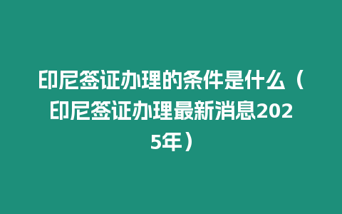 印尼簽證辦理的條件是什么（印尼簽證辦理最新消息2025年）
