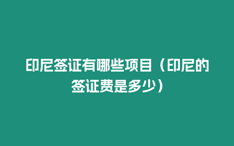 印尼簽證有哪些項目（印尼的簽證費是多少）