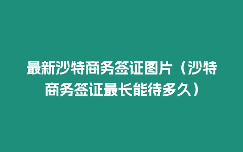最新沙特商務(wù)簽證圖片（沙特商務(wù)簽證最長能待多久）