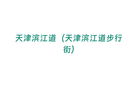 天津濱江道（天津濱江道步行街）